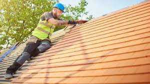 Best Roof Moss and Algae Removal  in North Bethesda, MD